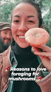 There are infinite reasons why we love hunting #mushrooms , but just to  name a few.., 1. Wild medicine is the best medicine. #Wild mushrooms are  exposed to all kinds of stressors that promote the ...