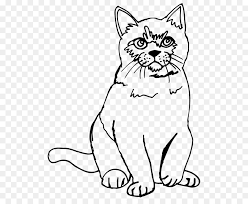 Binatang yang berwajah lucu dengan bulu yang indah dan lembut dapat mencuri perhatian majikannya yang sangat memanjakan mereka. 25 Trend Terbaru Sketsa Gambar Kucing Untuk Mewarnai Tea And Lead