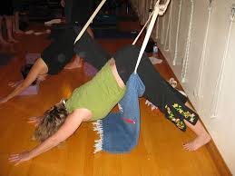 A Litter Of Downward Facing Dogs Ways To Practice Yoga With Bonnie