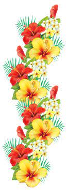 Pin On Png