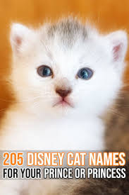 Black And White Kitten Names Unisex Felineliving Net Disney Cat Names Cute Cat Names Disney Pet Names