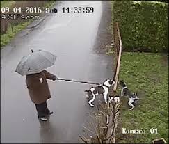 Maybe you would like to learn more about one of these? Best Gate Gifs Primo Gif Latest Animated Gifs