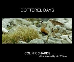 Dotterel is a free, open source program that provides the ability to use stenographic input on the android platform. Dotterel Days By Colin Richards Blurb Books Uk