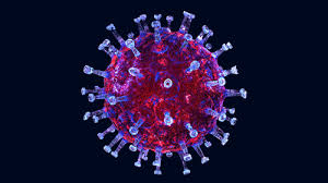 Research has shown that having regular. Urban Dictionary Coronavirus Fever