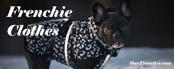 I currently have for sale 3 of 7 french bulldog puppies. Clothes For French Bulldogs Fast Shipping Ourfrenchie
