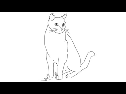 Start with paper and pencil and do each step as per described in above tutorial. How To Draw Cats Easy Step By Step Drawing Lessons For Kids Youtube
