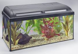 Wasser für balkon und garten: Aquarien Hier Im Obi Online Shop Wassergefasse Mit Durchsicht