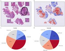 Image result for tbn:NPPRMe2lt8--qM::gallery.dll3.com/data/media/5/mw40_L.jpg