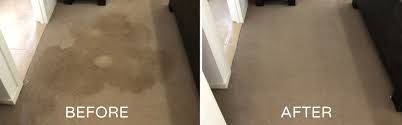 It can also be used for regular carpet cleaning. Carpet Cleaning And Pest Control A A Spectrum