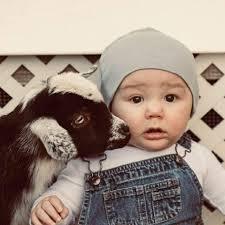 The Yarn and Sons Farm