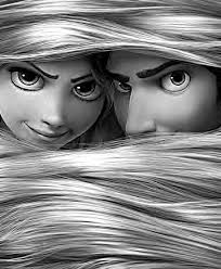 Polar swimmers splash into new year