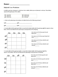 Dihybrid cross worksheet in rabbits, gray hair is dominant to white ggbb ggbb 2. Chapter 10 Dihybrid Cross Worksheet Dihybrid Cross Worksheets Dominance Genetics Genetics