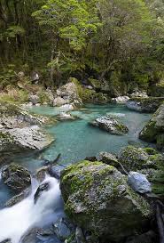 Stream Along The Routeburn Track Hiking Trip New Zealand South Island New Zealand