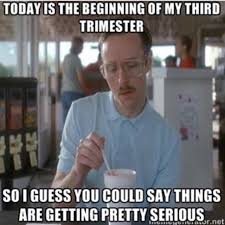 Lauren Alyssaroseat Thirdtrimester Pregnancyhumor Funny Quotes Mormon Humor Nursing Memes