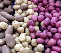 Image result for Solanum tuberosum