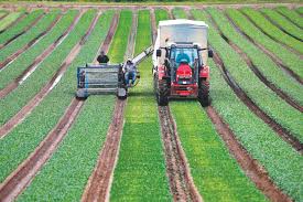Sketsa gambar animasi petani mencangkul di sawah. Pendapatan Petani Di Negara Devolusi Inggris Turun Akibat Brexit