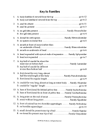 Check spelling or type a new query. Https Cdn Vanderbilt Edu Vu Wp0 Wp Content Uploads Sites 336 2020 11 03182256 Shark Dichotomous Key Pdf