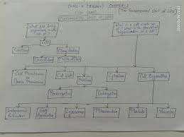 What is cell in biology class 9. Rankers Academy Biology Class 9 Chapter 1 The Facebook