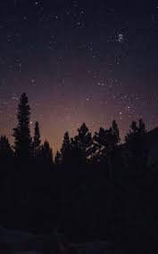 950x1534 Night Out Tree Starry Sky Forest Silhouette Nature Wallpaper 950x1534 Forest Nature Night Night Sky Wallpaper Nature Wallpaper Sky Aesthetic Neon silhouette, street, vaporwave aesthetic, night, bladerunner. night sky wallpaper nature wallpaper