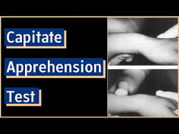 Image result for Shoulder Apprehension Test