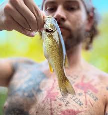 What kind o fish is that. Catched at night with hand. Released 👍