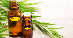 The chemicals found in tea tree oil are all natural and they do not harm your hair. 10 Surprising Uses Of Tea Tree Oil For Hair