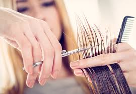 We did not find results for: How To Find The Right Hairstylist Instyle