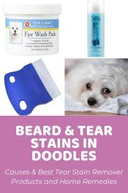 A porphyrin naturally occurs in a dog's saliva, urine, and tears. Tear Stain Remover Best Products For Beard Tear Stains In Doodles