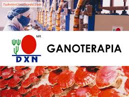 Resultado de imagen para ganoderma lucidum dxn