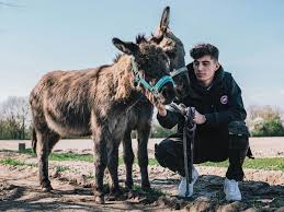 There was no information on how the couple met. 11 Facts About Kai Havertz You Should Know Chelsea Core