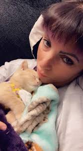 Oatmeal protected the house from a muskrat