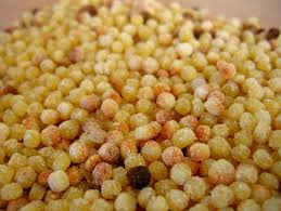 We did not find results for: Fregola Wiktionary
