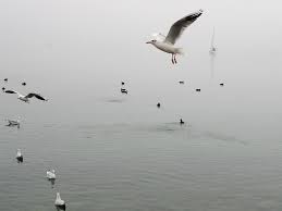 Image result for autumn seaboat images