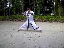 Dihalaman ini anda akan melihat gambar kaos ikspi keren yang apik! Jurus Jurus Iks