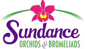 Maybe you would like to learn more about one of these? Sundance Orchids Bromeliads