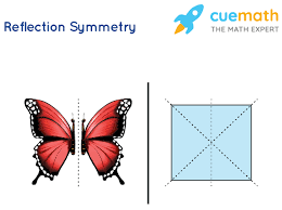 This was created by mirroring a half object across the xz plane to represent reflection symmetry. Reflection Symmetry Definition Rules Examples Cuemath
