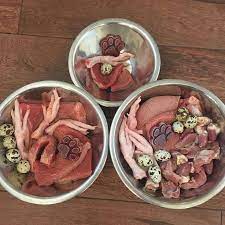 raw dog food with meat eggs and organ blend dog food recipes raw dog food recipes healthy dog food recipes