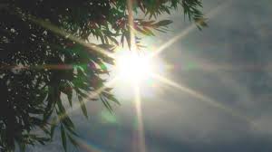 Fraser Valley Today - News update