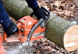 If you have enough land and easy access for dump trucks, you will find that there are construction companies and tree trimmers that are more than happy to fill it with. Buying Cheap Firewood Where To Find It