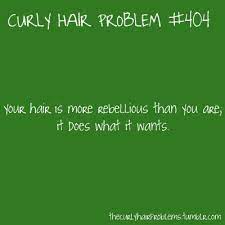 Haha That S Sounds About Right Curly Hair Styles Curly Hair Problems Hair Jokes