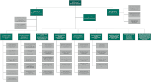 Organization Chart