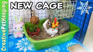 Luckily, an indoor rabbit cage is simple to make and offers plenty of opportunity for customization. How To Build A Cheap Diy Rabbit Cage Winter Theme Youtube