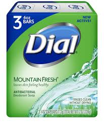 Solid bars also last longer and avoid excess plastic waste common in liquid. Amazon Com Dial Antibacterial Deodorant Soap Mountain Fresh 4 Ounce 9 Bars Bath Soaps Beauty