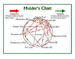 Mulders Chart Shows The Interaction Between Minerals