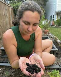 The Daniel Island News