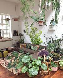 Check spelling or type a new query. Living Room Plant Inspo Novocom Top