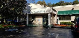 2 burland road, battersea, london, sw11 6sa. Westside Animal Clinic Home Facebook