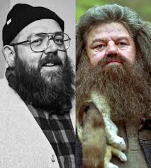 Nick Frost has been cast as Hagrid in HBO's Harry Potter TV series. #HBOMax  #harrypotter #nickfrost