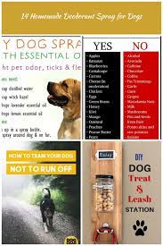 When temperatures get higher and the urine odor becomes stronger, remove the odor as quickly and effectively as possible. 14 Homemade Deodorant Spray For Dogs Diy Dog Deodorant Bright Stuffs Dogs Stuff 14 Homemade Deodorant Spray For Dogs