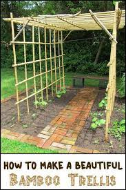This easy diy garden trellis is also great for beans, peas, and tomatoes. Diy Bamboo Trellis The Owner Builder Network Bamboo Garden Fruit Garden Design Bamboo Trellis